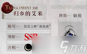 银与绯归乡的艾米怎么样