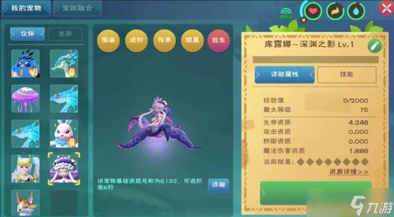創(chuàng)造與魔法平民適合什么寵物