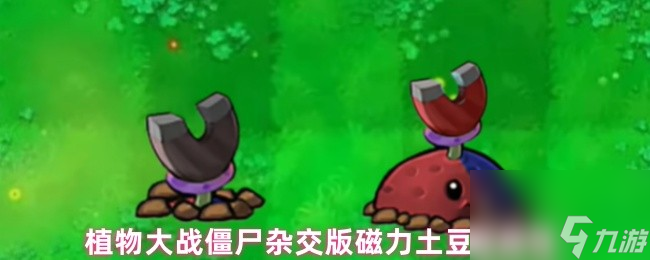 植物大战僵尸杂交版磁力土豆雷属性