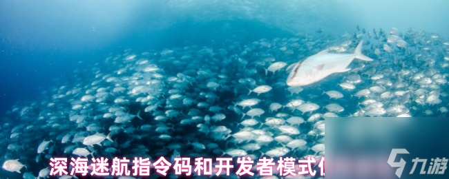 深海迷航指令碼和開發(fā)者模式使用教程