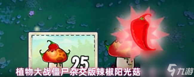植物大战僵尸杂交版辣椒阳光菇二合一属性
