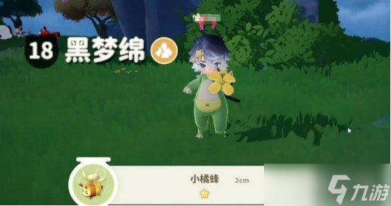 米姆米姆哈小橘蜂在哪捕捉 小橘蜂具体位置一览