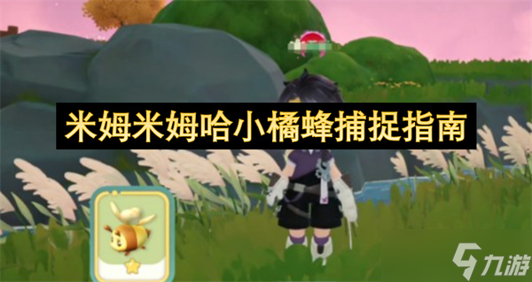 米姆米姆哈小橘蜂捕捉指南