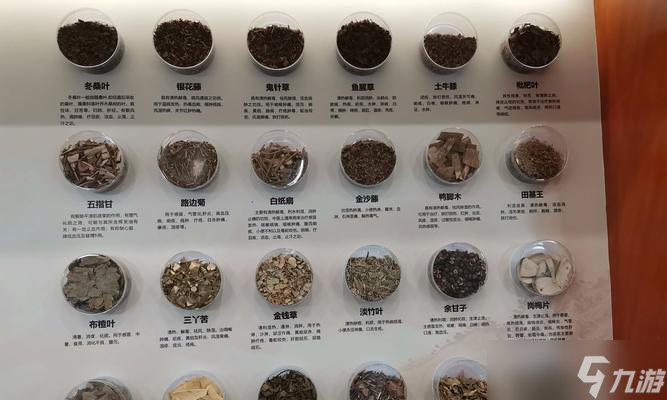 茶圣获得后有哪些特殊技能？