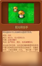 <a id='link_pop' class='keyword-tag' href='https://www.9game.cn/zhiwudazhanjiangshizajiaoban/'>植物大战僵尸杂交版</a>辣椒阳光菇有什么用