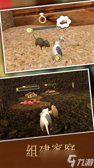 《疯狂地鼠3d》新手攻略：最高效的搬砖攻略！