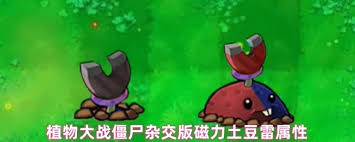 <a id='link_pop' class='keyword-tag' href='https://www.9game.cn/zhiwudazhanjiangshizajiaoban/'>植物大战僵尸杂交版</a>磁力土豆雷好用吗