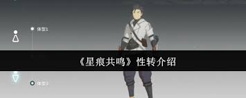 星痕共鸣是否能性转