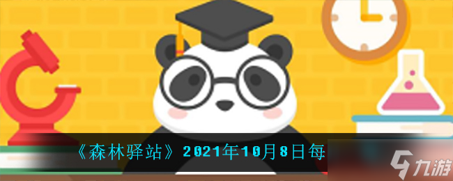 海豚潜水深度的极限是多少截图