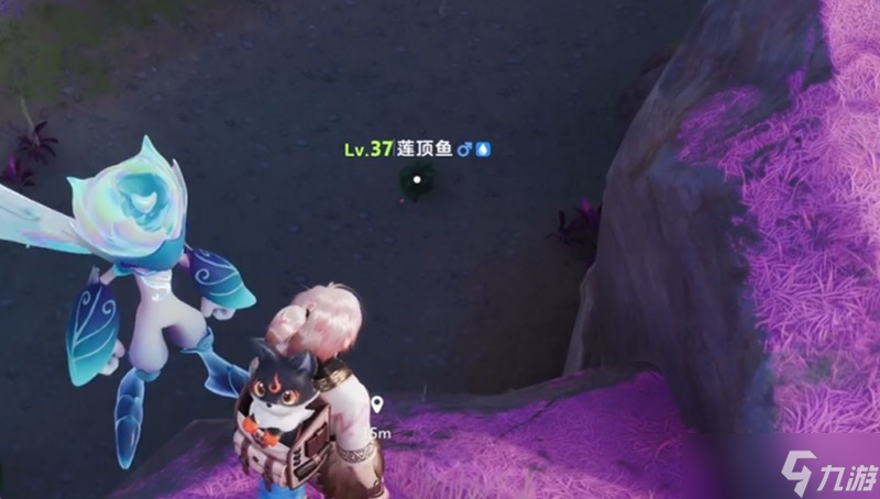 伊莫星落林有哪些伊莫 星落林伊莫分布位置详解