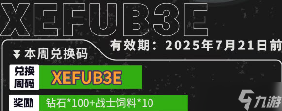 小鸡舰队出击兑换码2025最新