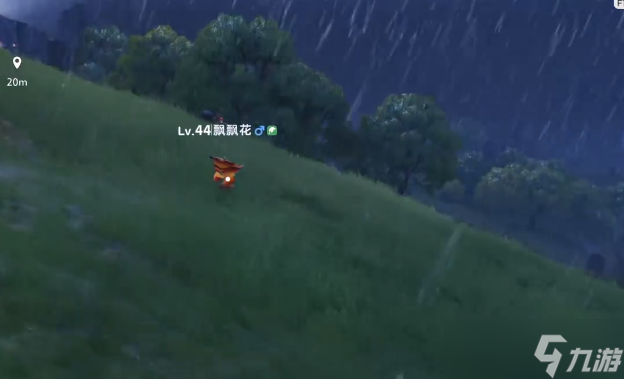 伊莫飄飄花在哪里
