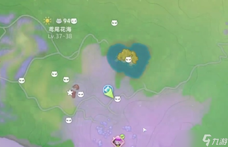伊莫鸢尾花海地图怎么玩 伊莫宠物收集详细攻略