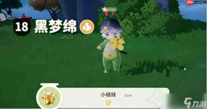 米姆米姆哈小橘蜂怎么抓 小橘蜂捕捉地點與方法