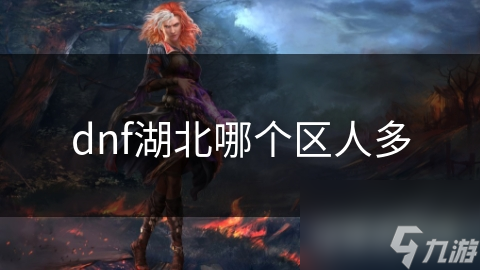 dnf湖北哪个区人多截图