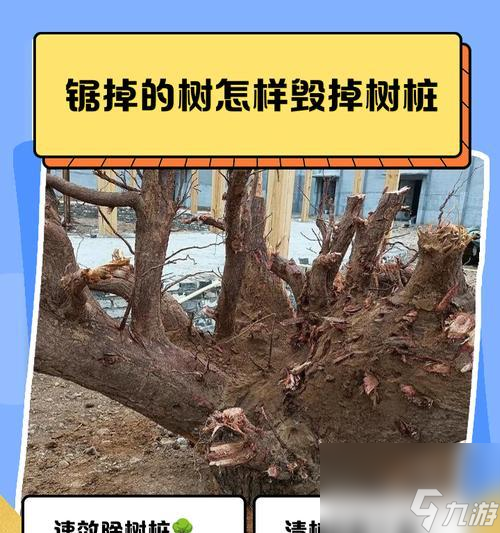 我的世界中树木如何拆除？拆除树木的有效方法是什么？