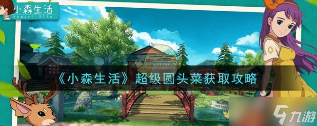 小森生活：如何獲取圓頭菜秘籍