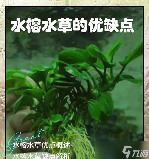我的世界中水草如何快速成长？水草成长的条件是什么？