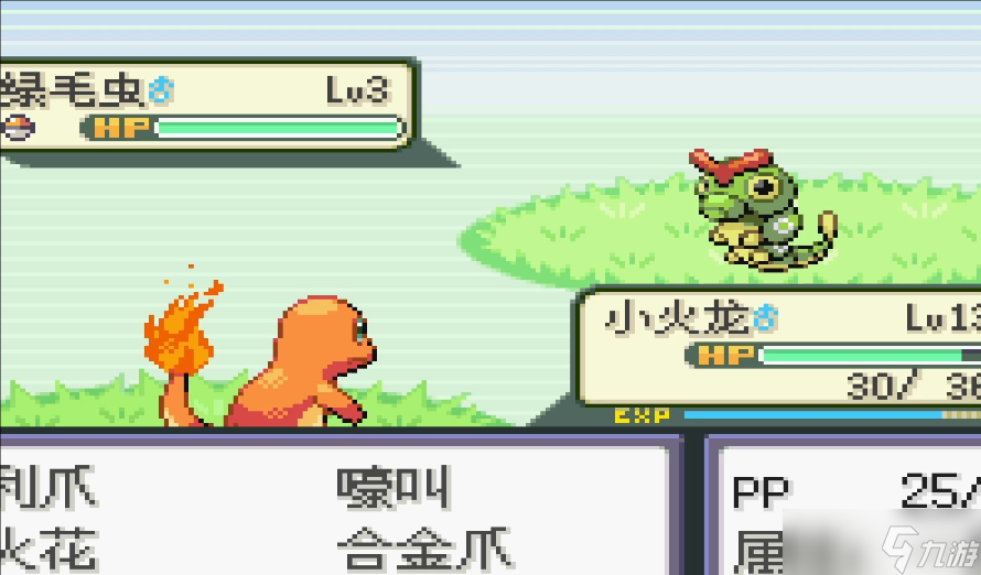 口袋妖怪火红晴天队用什么宝可梦