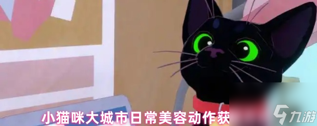 小猫咪大城市日常美容动作获取方法