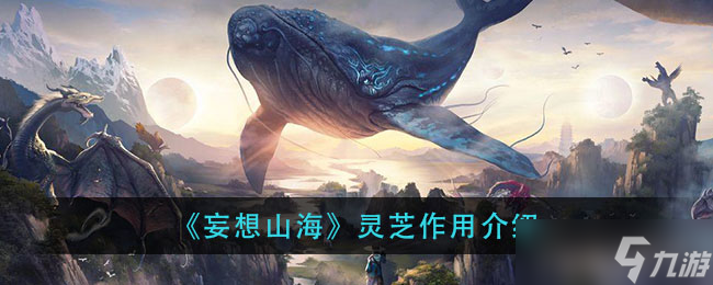 “揭秘山海灵芝的功效”