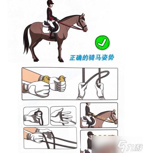 骑乘驯服的详细步骤是什么？