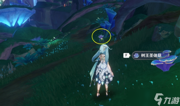 <a id='link_pop' class='keyword-tag' href='https://www.9game.cn/yuanshen/'>原神</a>圣体菇哪里多