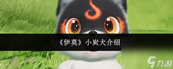 《伊莫》小炭犬介绍
