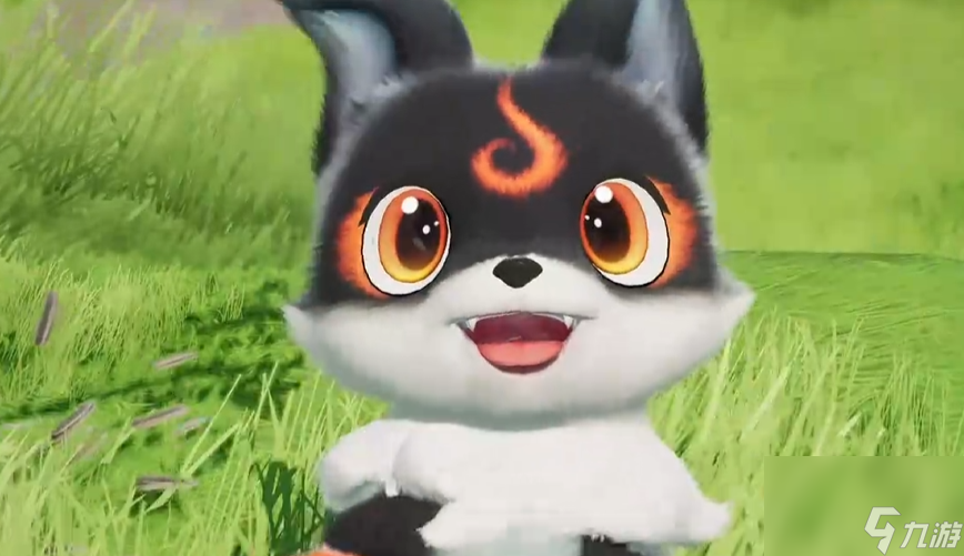 《伊莫》小炭犬介绍