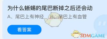 蜥蜴尾巴斷掉后為何還會動