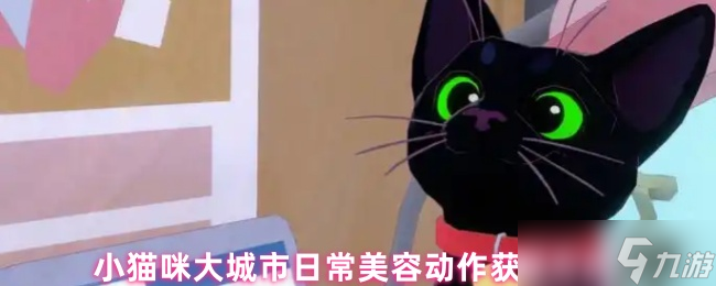 《小猫咪大城市》小猫咪在大城市的美容技巧与获取方法