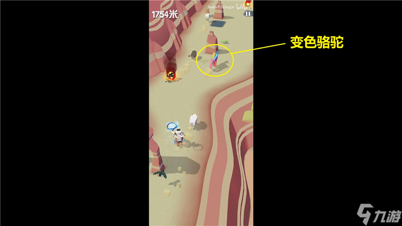 疯狂动物园澳洲特殊动物捕捉攻略
