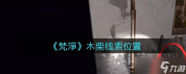 孫美琪懸案：梵凈山木柴去向之謎