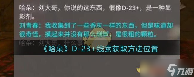 孫美琪之謎：哈朵D疑云