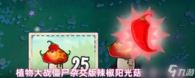植物大战僵尸杂交版辣椒阳光菇战术解析：阳光炸弹双修，防御经济双核心