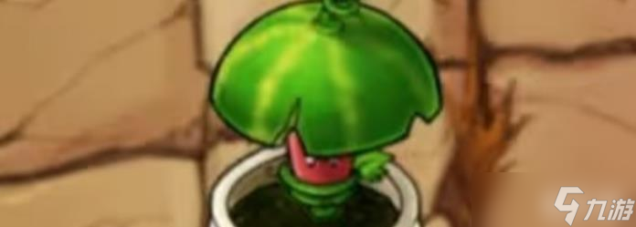 植物大战僵尸西瓜伞属性