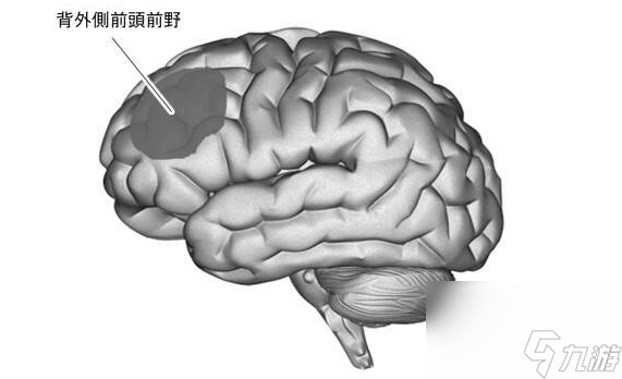 新研究论述游戏会提高智力 脑科学以及心理学双向推进