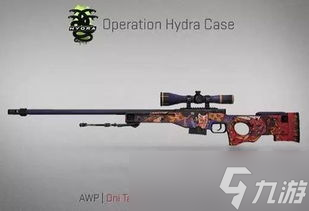 CSGO體驗手套皮膚大揭秘 你的戰(zhàn)斗裝備升級指南 