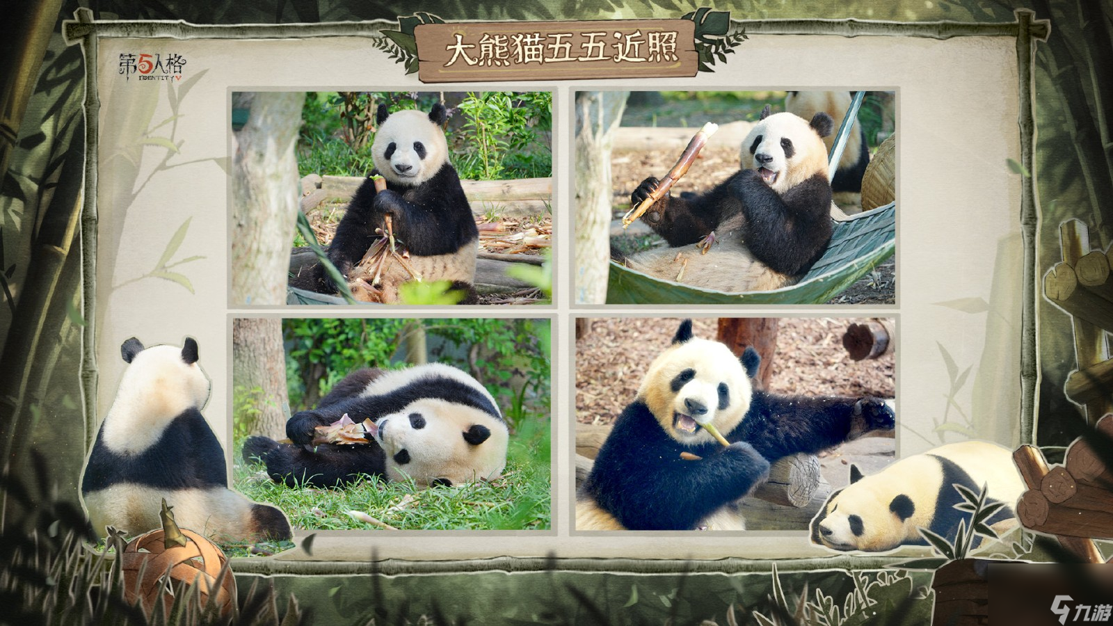 《第五人格》熊猫系列时装今日上新及返场