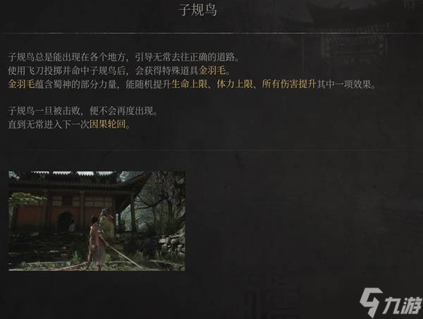 《明末渊虚之羽》子规鸟介绍 子规鸟是什么