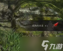 《明末：渊虚之羽》普元寺至摩崖像神龛新手图文教学