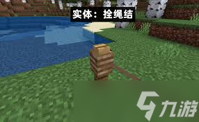 我的世界拴繩怎么制作
