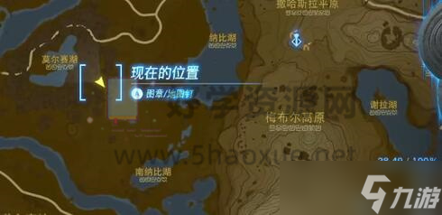 塞爾達(dá)傳說王國之淚大師之劍怎么拿