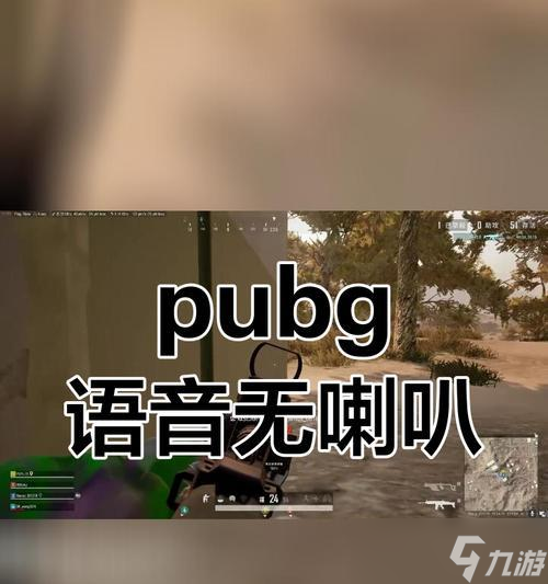 电脑版绝地求生麦克风无法使用怎么办？如何解决？