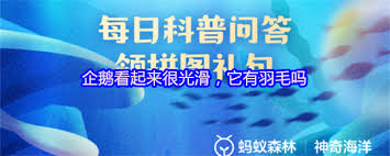 企鹅看起来很光滑它是否有羽毛