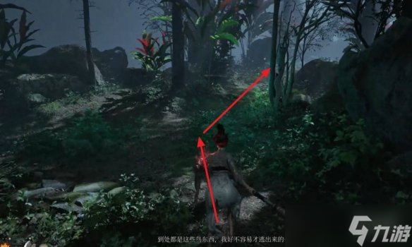 《明末渊虚之羽》真武山羽族遗骸全收集