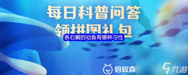 条石鲷的幼鱼有哪种习性
