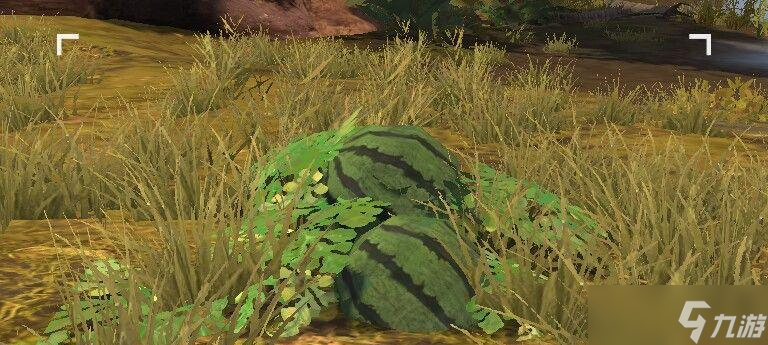 《以明日之后为主题的植物种植玩法详细介绍》（从种子到收获）