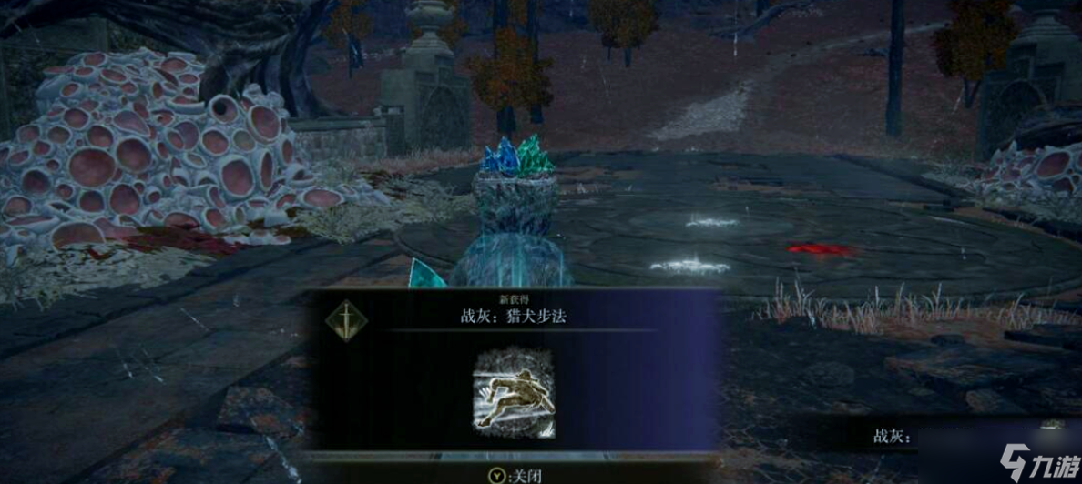 艾尔登法环武士用什么战灰