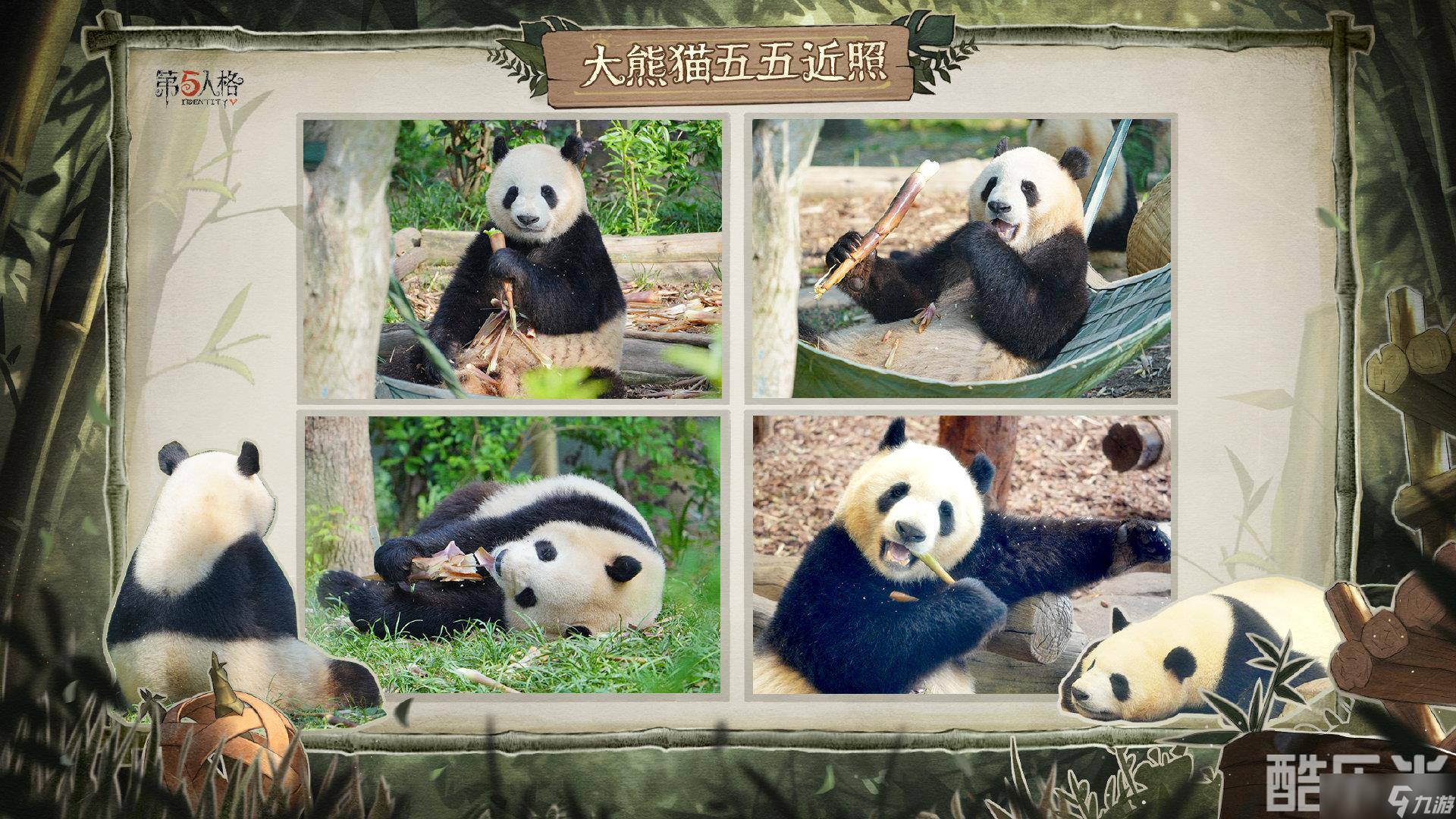 第五人格熊猫系列时装外观